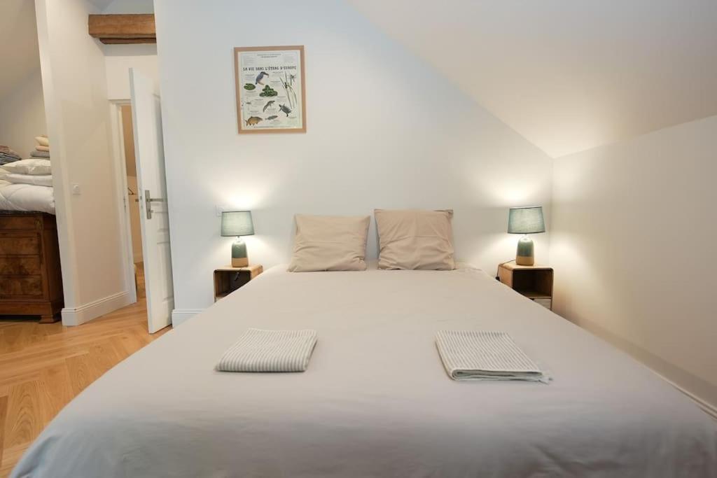 Villa Magnifiques Ecuries Juste Renovees - Domaine De La Mulotiere à Langeais Extérieur photo