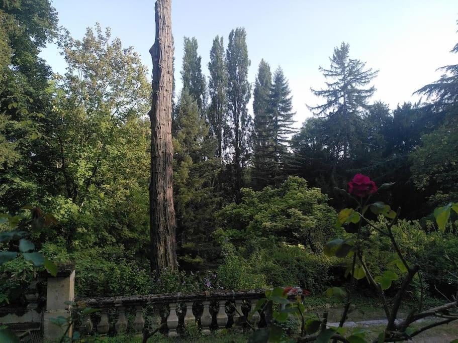 Villa Magnifiques Ecuries Juste Renovees - Domaine De La Mulotiere à Langeais Extérieur photo