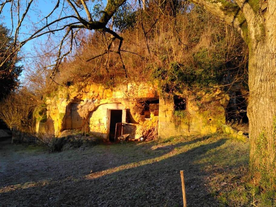 Villa Magnifiques Ecuries Juste Renovees - Domaine De La Mulotiere à Langeais Extérieur photo